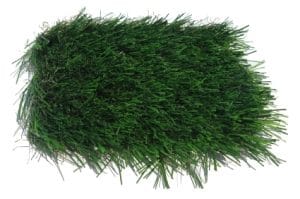 Synthetic Grass Jordi Labs designs possible synthetic strategies for product development.